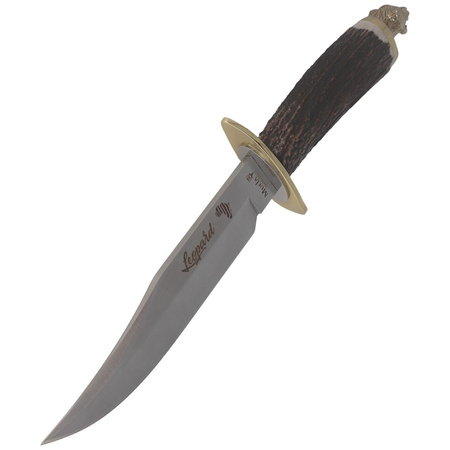 Nóż myśliwski Muela Deer Stag 160mm, Gift Box (LEOPARD-16BF)